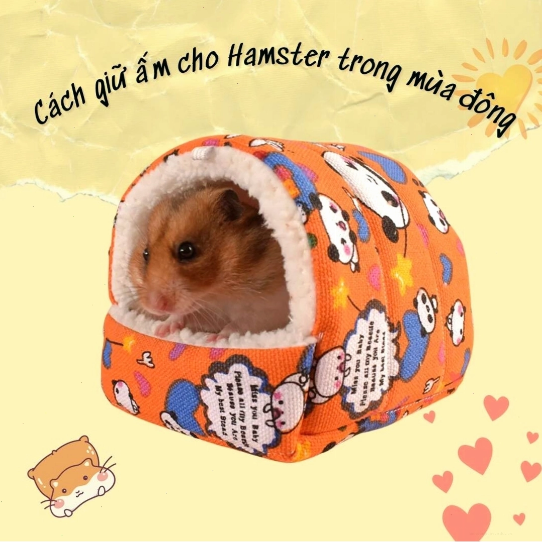 Chuột hamster đang chạy trên bánh xe