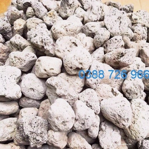 Đá nham thạch với cấu trúc lỗ xốp, lý tưởng cho vi sinh cư trú