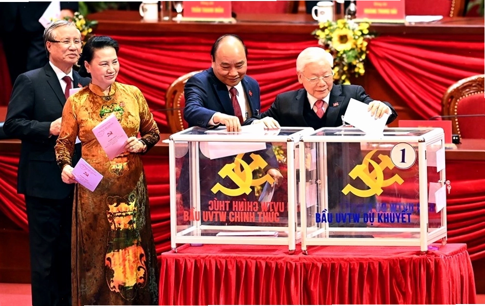 Dế chó trong môi trường sống tự nhiên nhiều cỏ cây