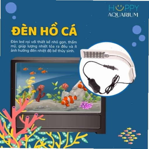 Đèn hồ cá cung cấp ánh sáng cần thiết