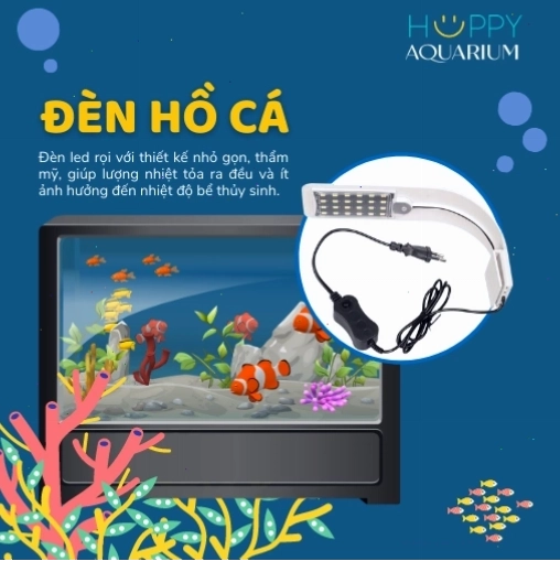 Đèn hồ cá giúp tạo môi trường sống lý tưởng cho cá Koi