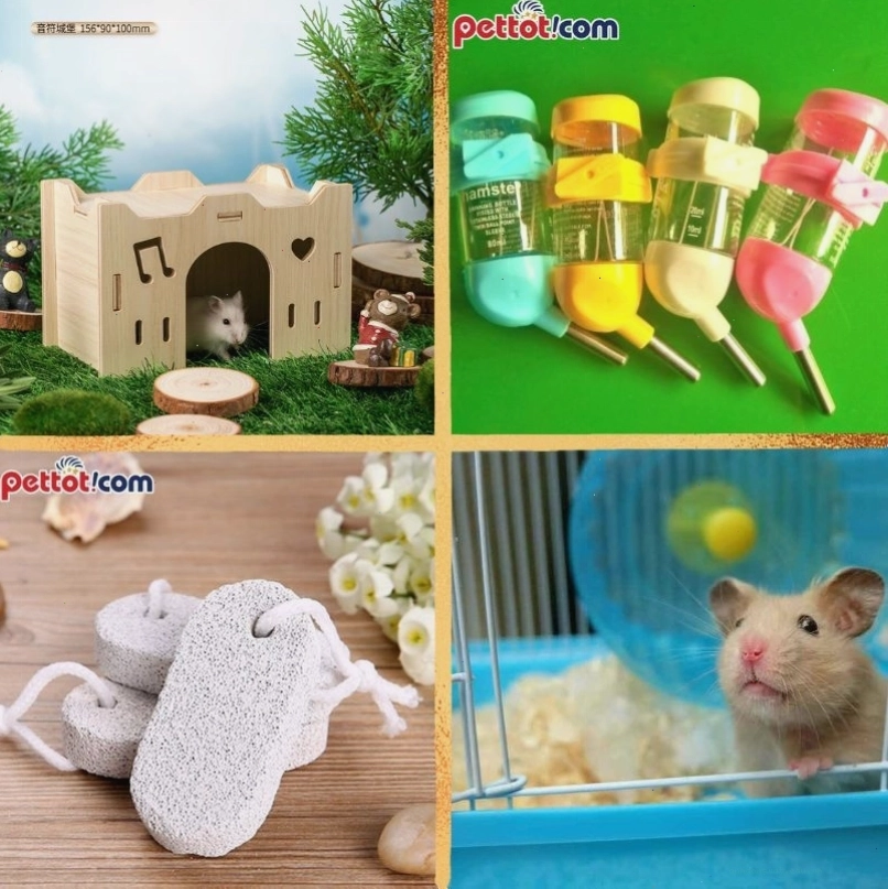 Đồ dùng cho chuột hamster | Giá rẻ Nhất | Nhiều ưu đãi Nhất