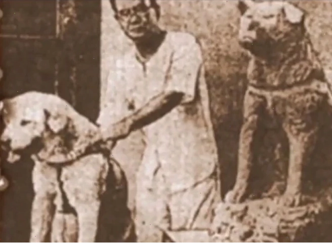 Hachiko ngồi đợi ở ga Shibuya