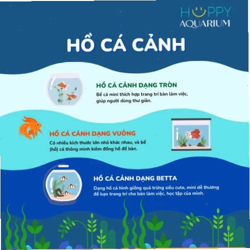 Hệ thống lọc nước bể cá cảnh