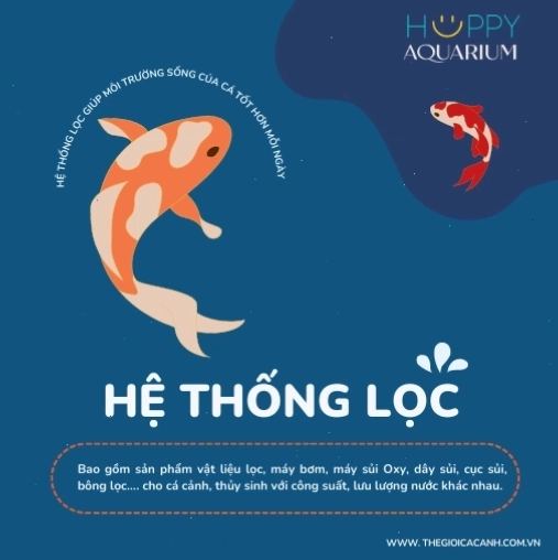 Hệ thống lọc nước bể cá cảnh