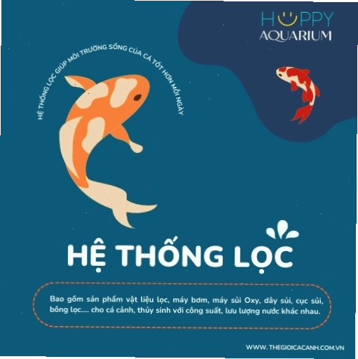 Hệ thống lọc nước cho hồ cá cảnh