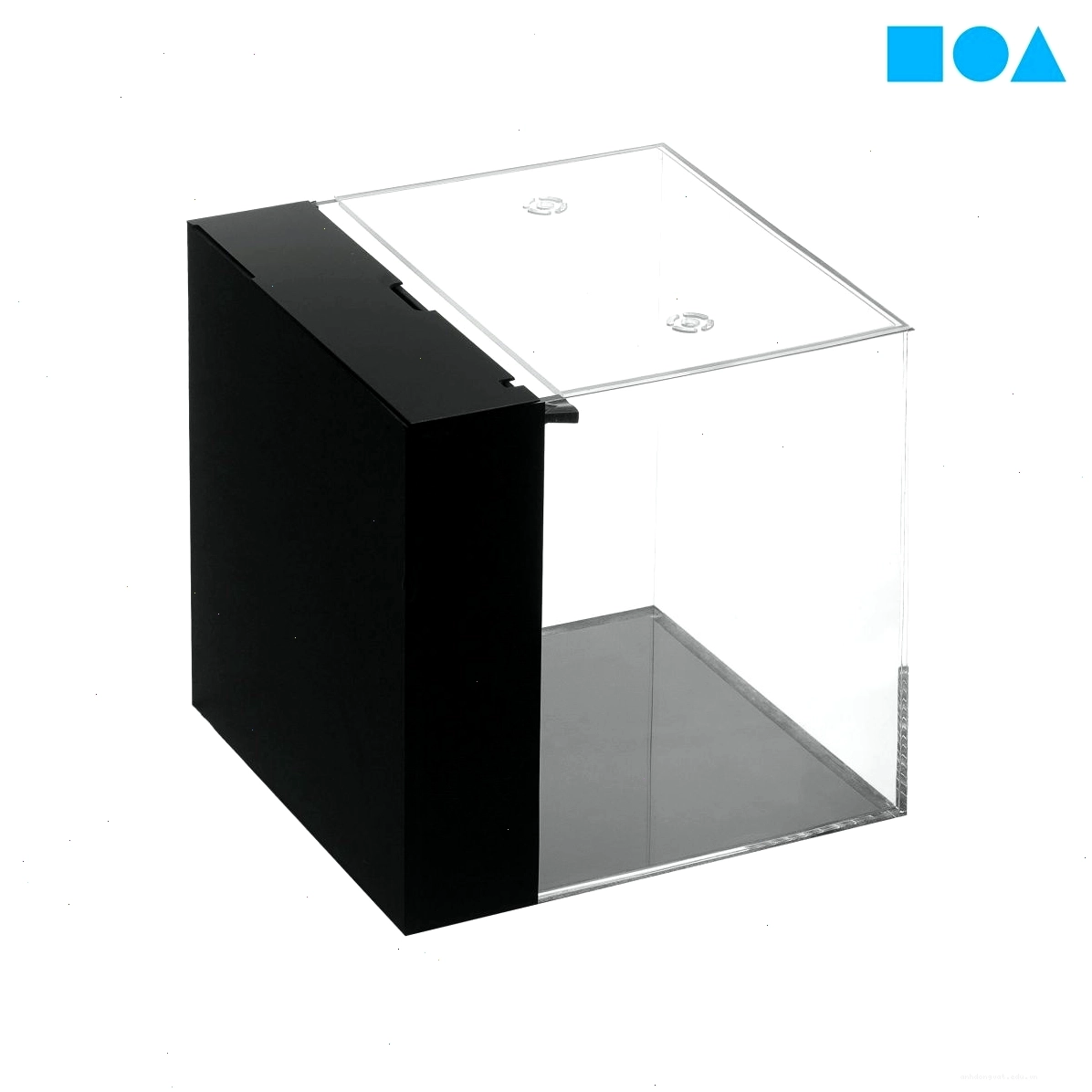 Hồ cá thủy sinh mini đẹp với bố cục ấn tượng