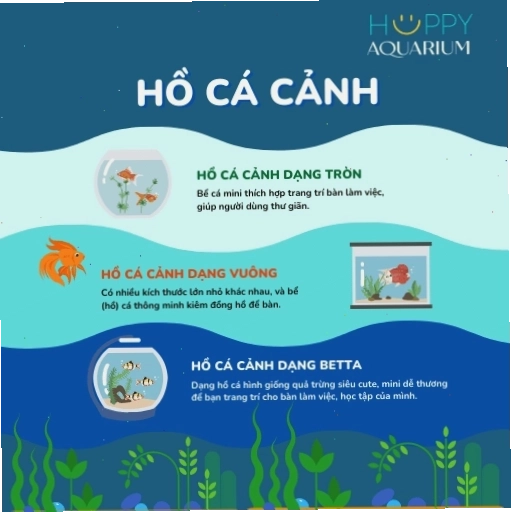 Hồ nuôi cá cảnh ngoài trời bằng xi măng