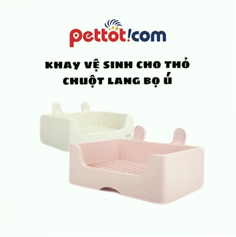 Khay vệ sinh cho thỏ