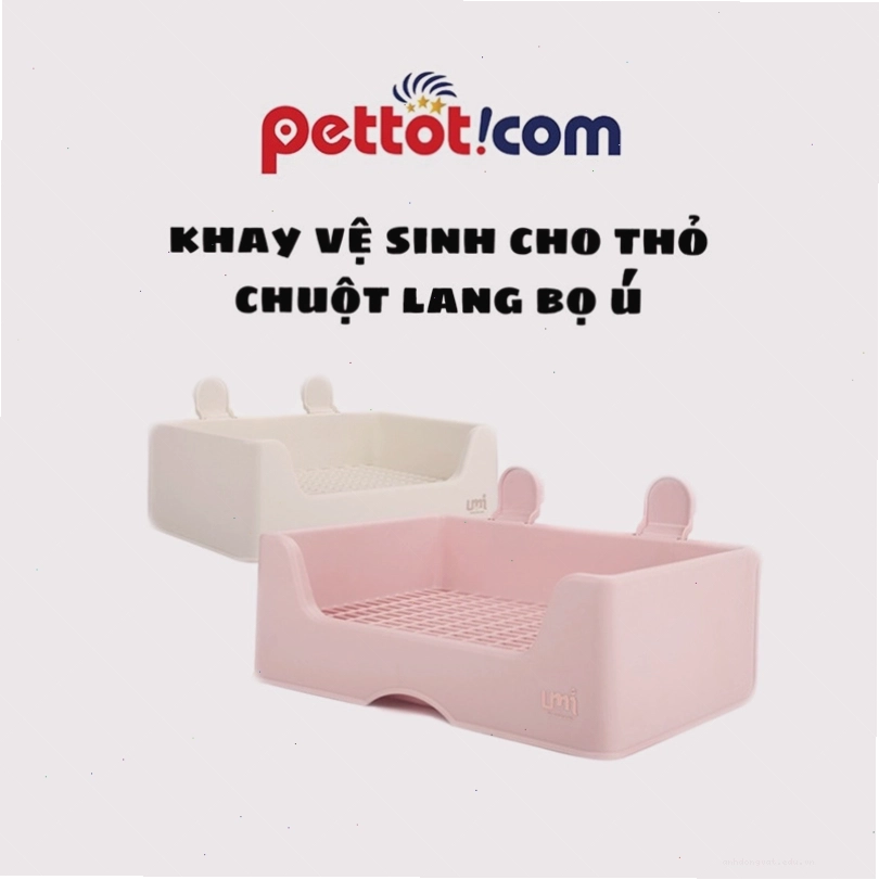 Khay vệ sinh cho thỏ
