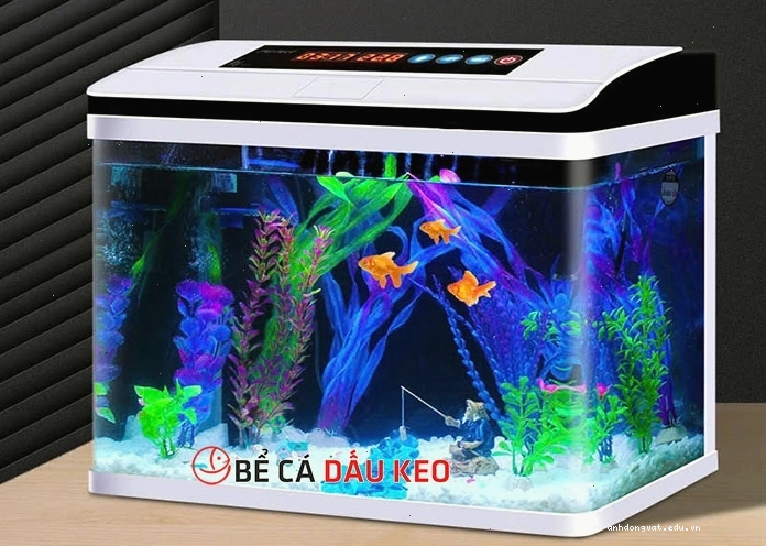 Làm thế nào để chọn bể đúc phù hợp