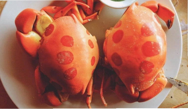 Loại cua lạ cực hiếm có giá 500.000 đồng/kg nhưng được nhiều người săn lùng.