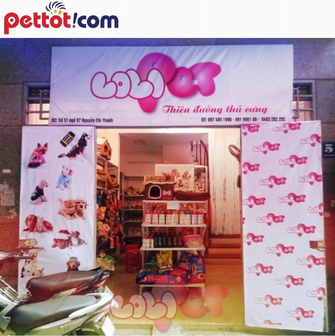 Lolipet Shop - địa chỉ bán chuột hamster uy tín tại Hà Nội