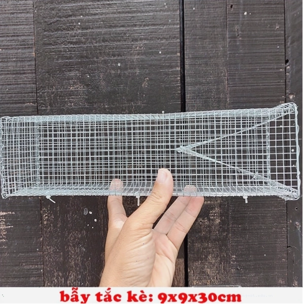 Lồng bẫy tắc kè chất lượng cao