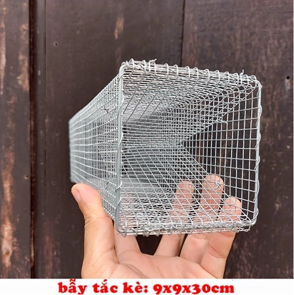 Lồng bẫy tắc kè đảm bảo hiệu quả