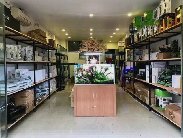 Long Hoa Cá cảnh – tiệm cá cảnh Thủ Đức uy tín lâu năm