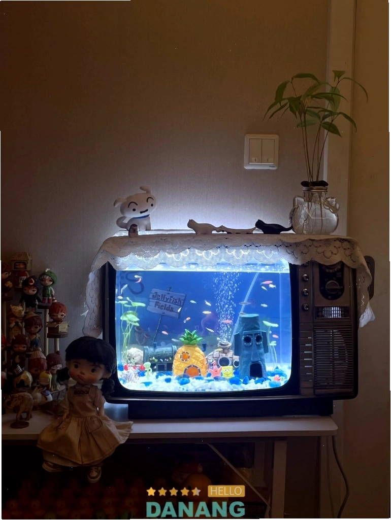 Long Sinh Aquarium với các loại cá cảnh nước ngọt và nước biển