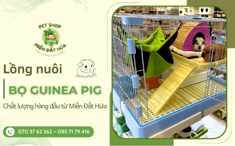 Mẫu chuồng bọ ú bằng nhựa có lưới thông gió tốt