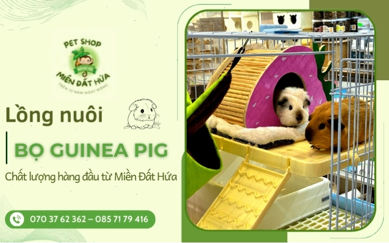 Mẫu chuồng nuôi bọ ú rộng rãi với nhiều không gian vận động