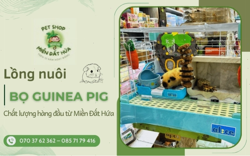 Mẫu lót chuồng bọ ú bằng giấy vụn mềm mại và thấm hút tốt