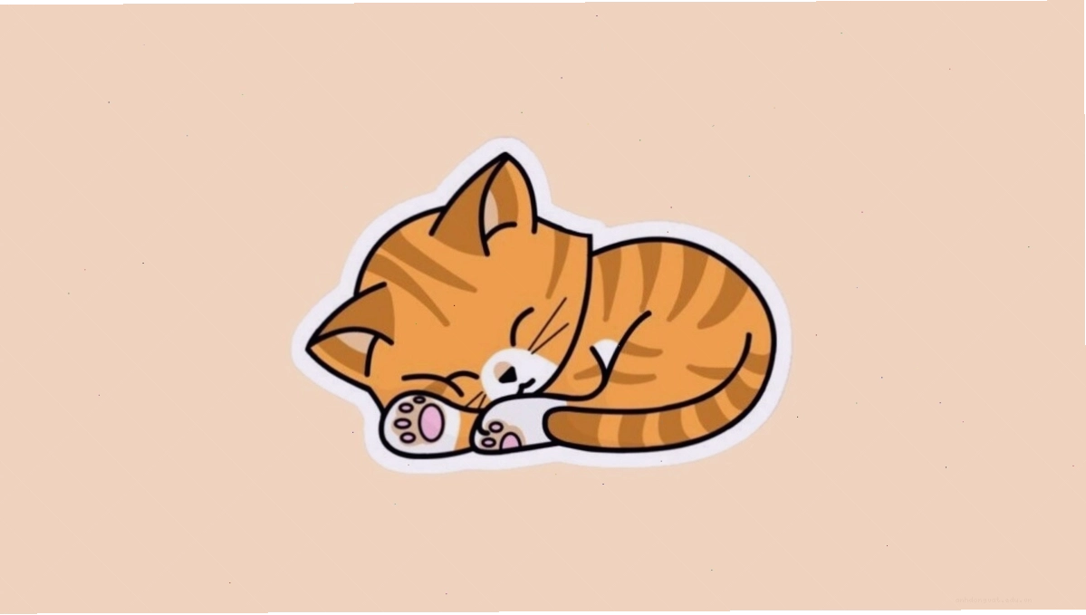 Mèo con nằm dài