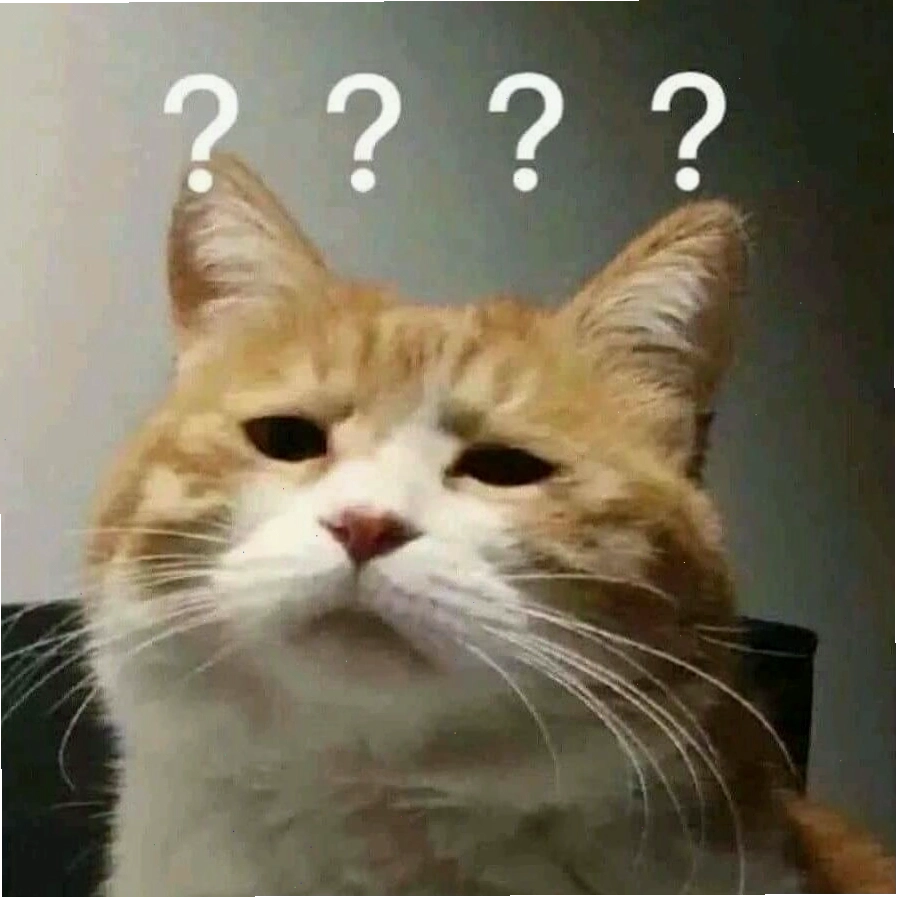 Mèo meme cười nham hiểm