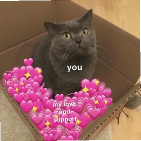 Mèo meme với vẻ mặt khó chịu