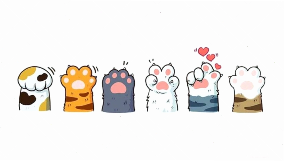 Mèo nằm cuộn tròn dễ thương