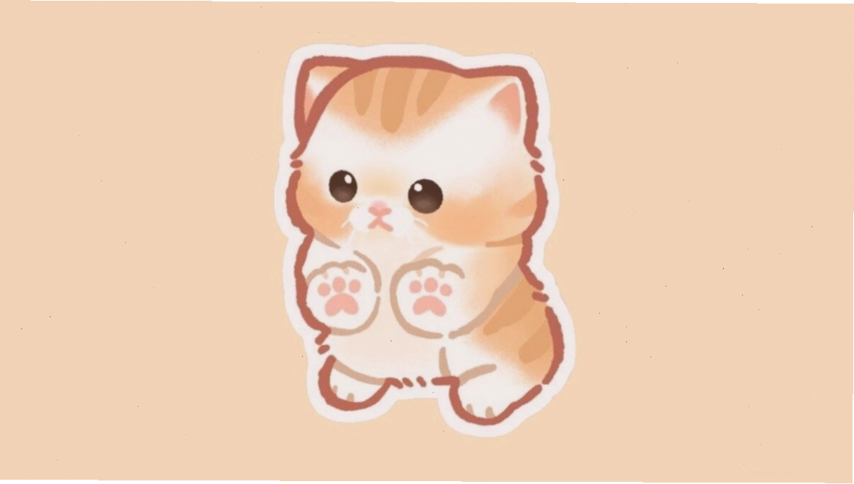 Mèo nằm trên máy tính