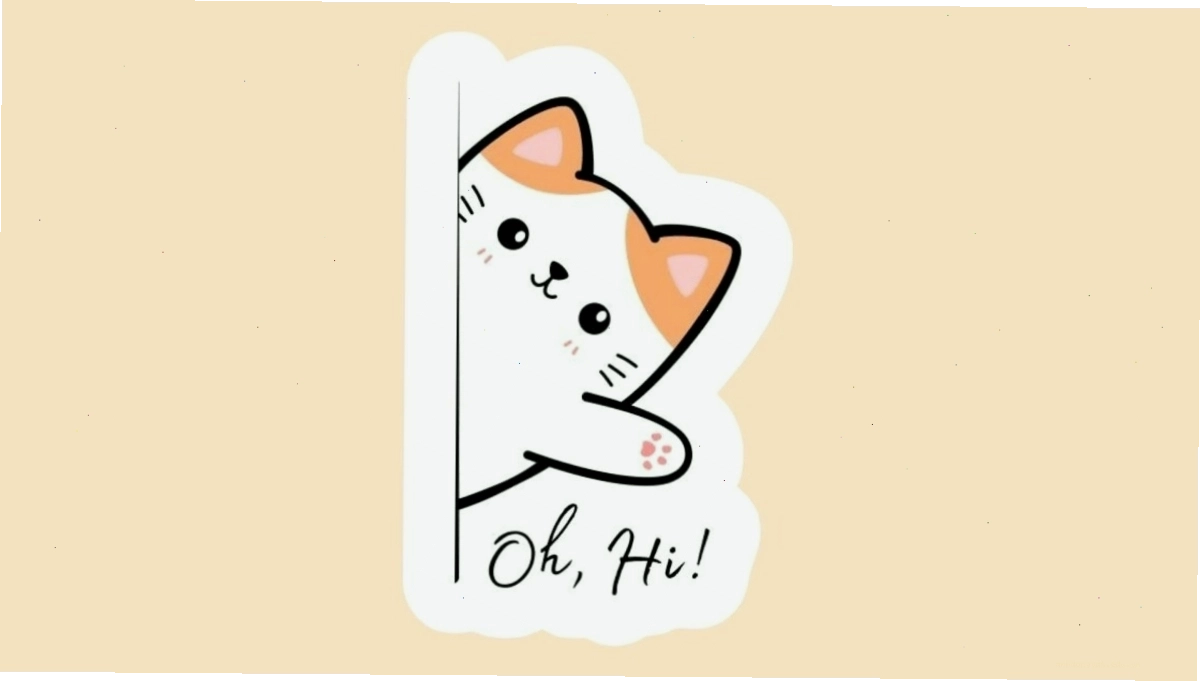 Mèo với ánh mắt ngạc nhiên