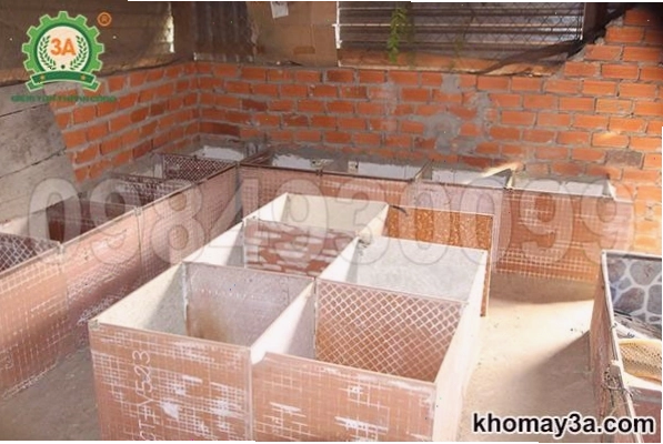 Mô hình nuôi dúi sinh sản với hệ thống chuồng trại khoa học