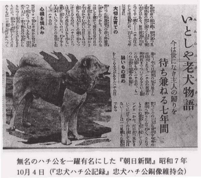 Mô tả về chú chó Hachiko