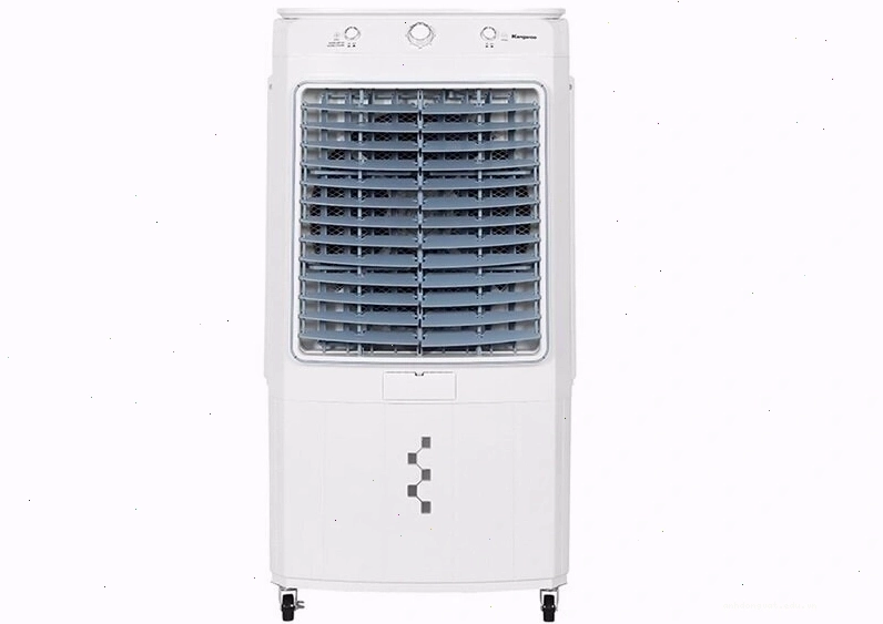 Một đàn sư tử nghỉ ngơi dưới bóng cây
