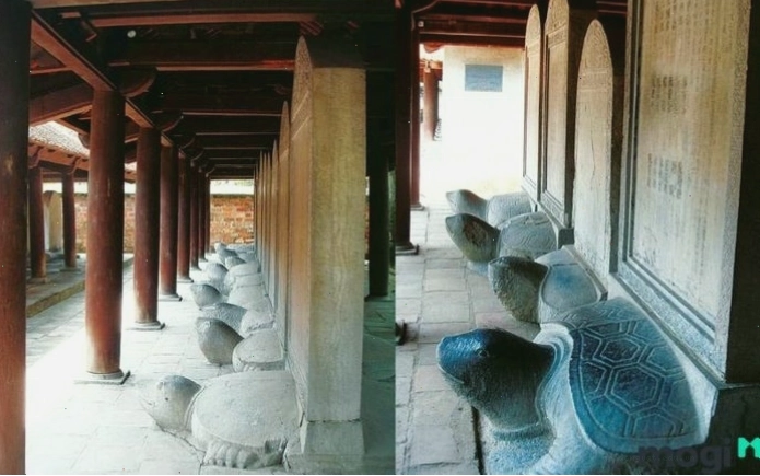 Một người đàn ông đang nhẹ nhàng thả một chú rùa về lại sông