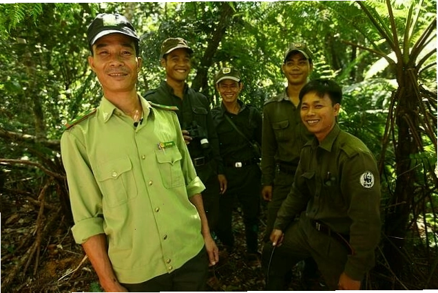 Ngoại hình đặc trưng của sao la