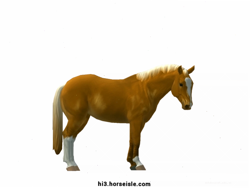 Ngựa Quarter Horse màu Flaxen Linebacked Bright Chestnut