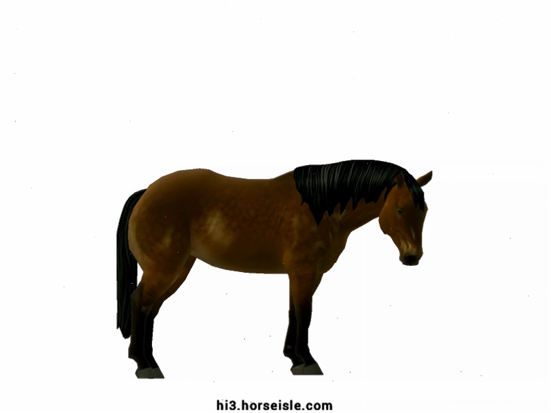 Ngựa Quarter Horse màu Sooty Linebacked Chocolate Brown