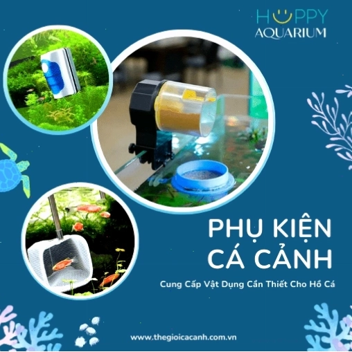 Phụ kiện cá cảnh đa dạng, hỗ trợ tối ưu việc chăm sóc