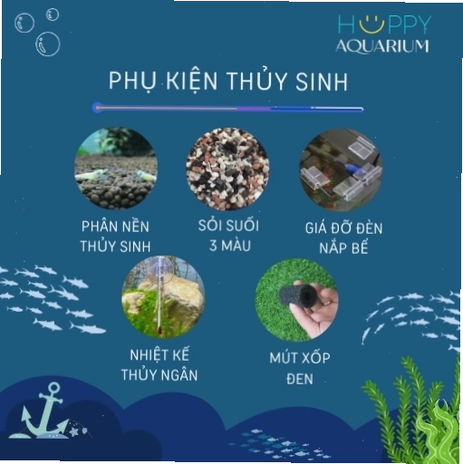 Phụ kiện thủy sinh hỗ trợ chăm sóc cá Koi