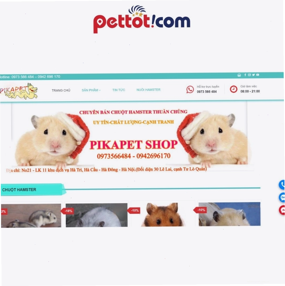 Pikapet Hamster shop - địa chỉ bán chuột hamster uy tín tại Hà Nội