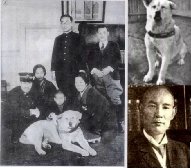 Poster phim Hachi A Dog's Tale