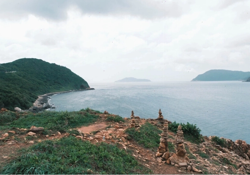 Rùa biển trong môi trường biển bị ô nhiễm