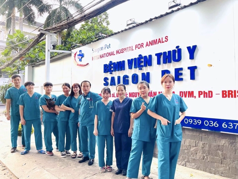Rùa tai đỏ con đang ăn thức ăn viên