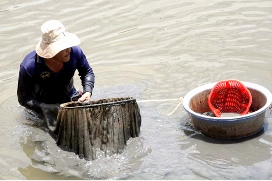 Tắc kè với khả năng ngụy trang trên lá cây