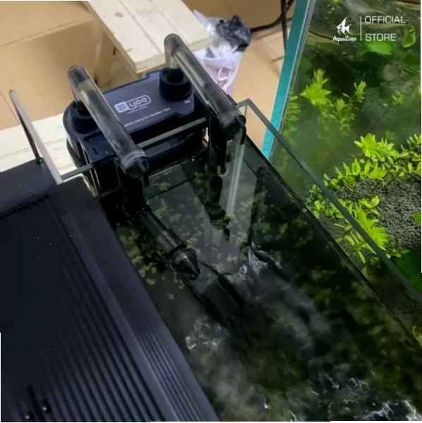 Thiết lập hệ thống lọc cho Bể Cá