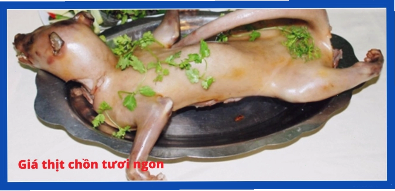 Thịt chồn hương và chồn bạc má có giá trị cao trên thị trường
