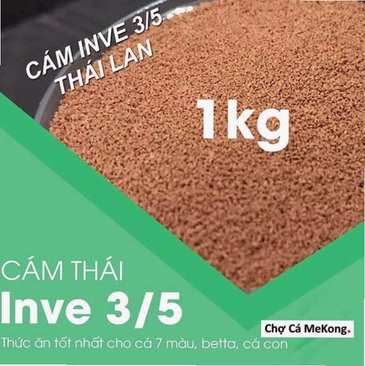 Thức ăn cho cá bảy màu chất lượng cao
