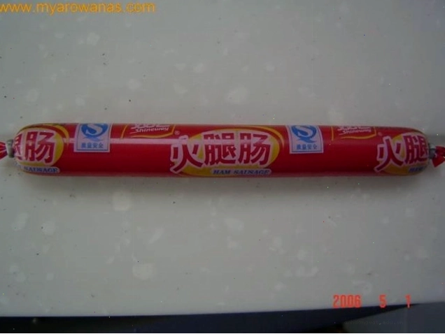 Thức ăn cho rết