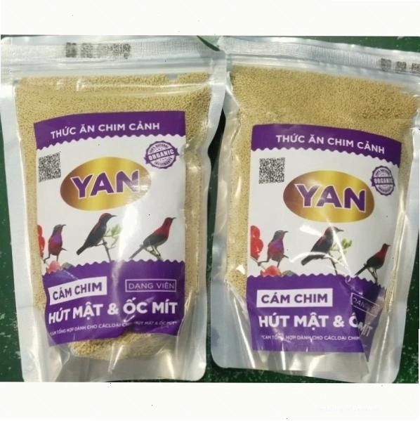 Thức ăn hỗn hợp giúp chim hút mật trưởng thành phát triển khỏe mạnh