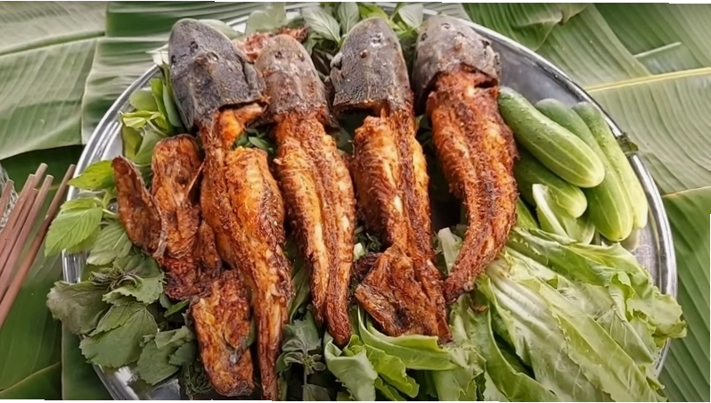 Thức ăn viên chìm cho cá cảnh